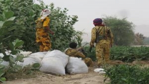 مصادر عسكرية بالضالع المعارك مستمرة في جميع جبهات القتال  في المحافظة