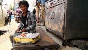 اليمن: هبوط إنتاج البيض يرفع أسعاره