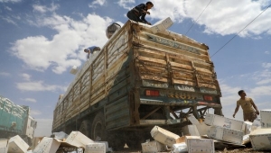 "قدمت كمساعدات أممية".. الحوثيون يعلنون إتلاف 171 طنًا من البذور الفاسدة