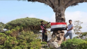 الأجندة التوسعية لدولة الإمارات العربية المتحدة في اليمن تتجلى في سقطرى