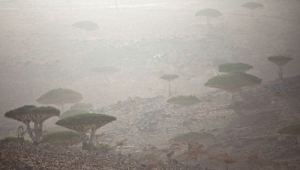الأرصاد: أمطار غزيرة على سقطرى واستمرار تأثر المياه الإقليمية بالعاصفة الإعصارية