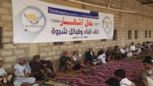 المجالس والأحلاف المناطقية في اليمن..المآلات والأهداف؟