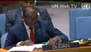 مندوب السودان لمجلس الأمن: الإمارات وفرت الدعم والسلاح للمليشيا