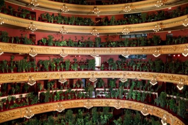 النباتات تحل محل الجمهور في أول حفل موسيقي بأوبرا برشلونة بعد أشهر من الإغلاق " صور "