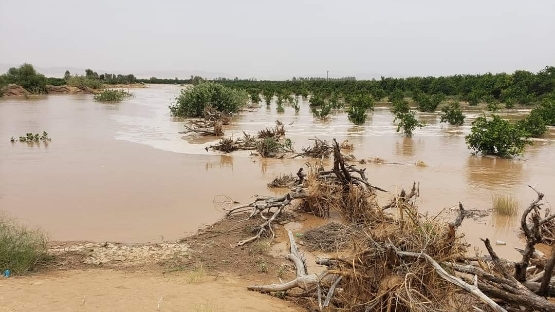 الإعلان رسميا عن ضحايا الفيضانات في مارب