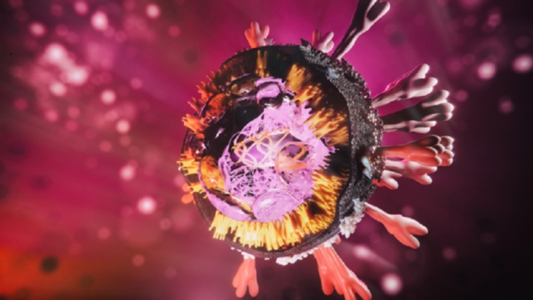 دراسة جديدة تكشف عن المدخل الرئيسي لفيروس كورونا إلى الجسم