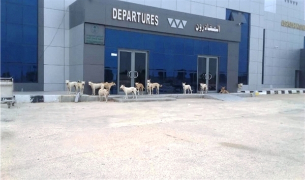 تقرير: السعودية حولّت مطار الغيضة إلى مربضاً للكلاب