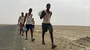 الهجرة الدولية: أكثر من 37 ألف مهاجر إفريقي وصلوا اليمن في 2020