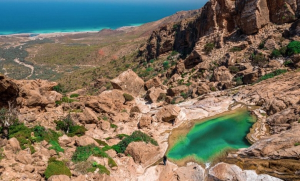 موقع آسيوي: أرخبيل سقطرى اليمني ينتظر السياح وعلماء البيئة