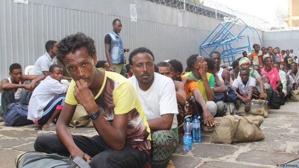 الأمم المتحدة: أكثر من 1330 مهاجرًا وصلوا اليمن "خلال شهرين"