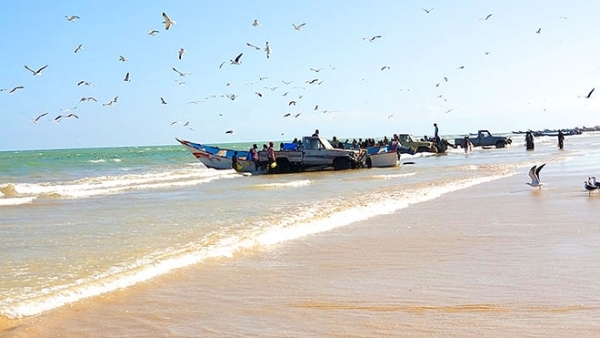 سلطات المهرة تضبط ستة غواصين يمارسون الصيد بطرق غير قانونية