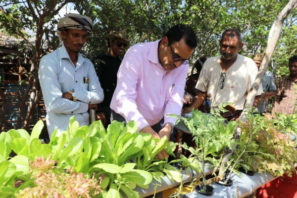 وزير الزراعة والري يطلع على مشروع تجربة زراعة الخضار بنظام "الهيدروبونك" في سقطرى