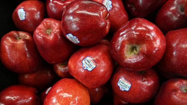 جماعة الحوثي تحظر استيراد التفاح