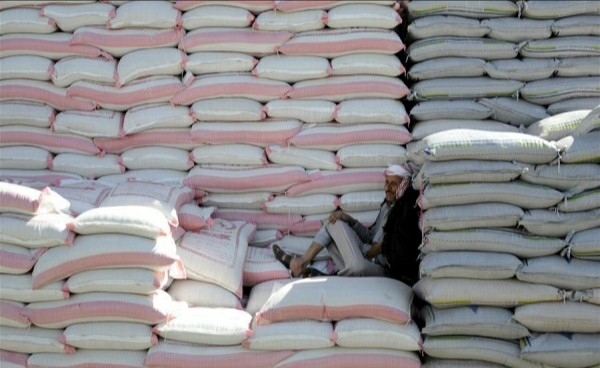 الحكومة تؤكد أن الهند استثنت اليمن من حظر تصدير القمح
