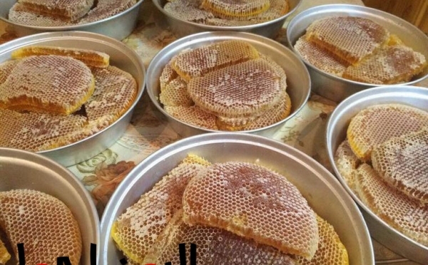الصليب الأحمر: إنتاج العسل في اليمن مهددٌ بالنضوب جراء تأثير النزاع وتغير المناخ