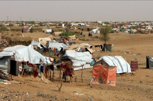 مفوضية اللاجئين: 55 % من النازحين اليمنيين لا يملكون مصدر دخل 