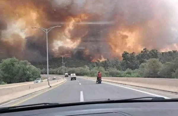 الجزائر.. حرائق الغابات تتسبب بوفاة 26 وإصابة العشرات