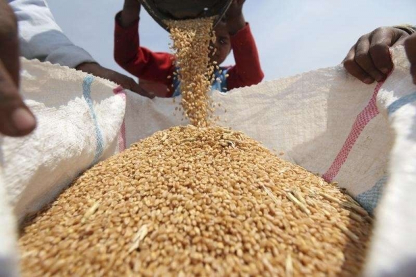 الحكومة تقول إن مخزون اليمن من القمح يكفي "4 أشهر"