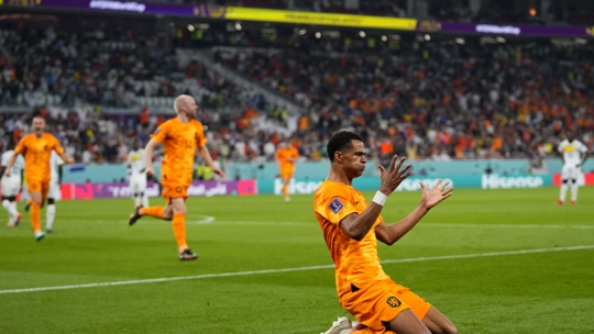 هولندا تخطف فوزا ثمينا من السنغال في مونديال قطر