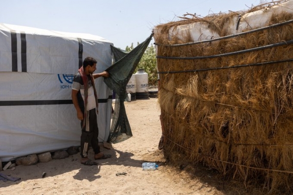الهجرة الدولية: قدمنا مواد إغاثة لنصف مليون نازح يمني العام الماضي
