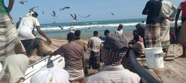 المهرة.. تنفيذ حملة لضبط قوارب الصيد المخالفة في سيحوت