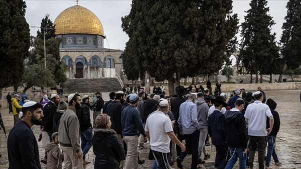 788 مستوطنا إسرائيليا يقتحمون المسجد الأقصى بحراسة مشددة