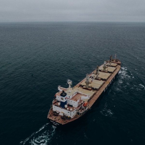 الأغذية العالمي: وصول سفينة تحوي 30 ألف طنًا من القمح إلى اليمن