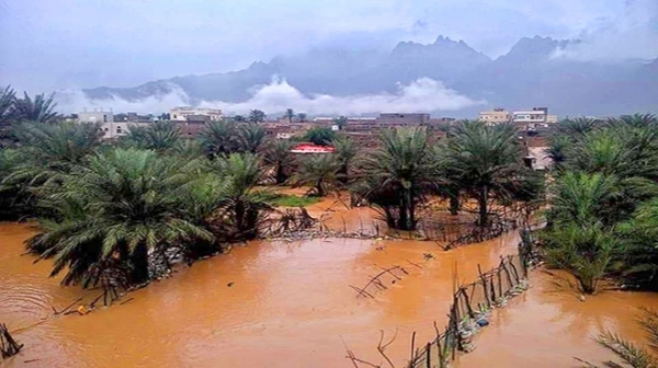 الأرصاد: أمطار مصحوبة بالعواصف الرعدية على أرخبيل سقطرى