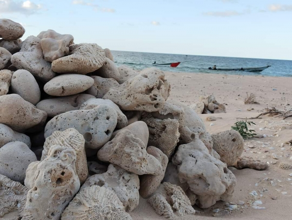 ناشط سقطري: نقل مئات الأطنان من أحجار الشعاب المرجانية من سواحل الأرخبيل إلى دولة الإمارات