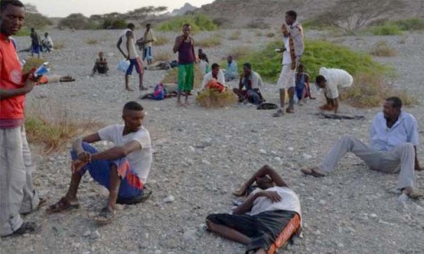 الأمم المتحدة تعلن مقتل وإصابة 10 مهاجرين في "حادثة مأساوية" بمأرب