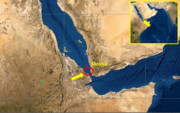 جماعة الحوثي تدين الاستهداف الأمريكي البريطاني لعدد من الصيادين في المخا