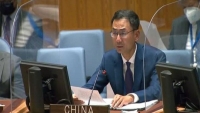 الصين تدعو وقف الهجمات على سفن الشحن في البحرين الأحمر والعربي