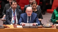 مندوب روسيا أمام مجلس الأمن: الضربات الغربية على اليمن لا مبرر لها